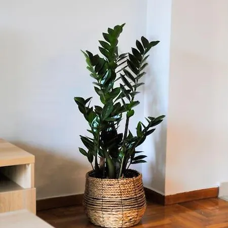 Apartment Gpk Lux 2br - 7 Min Walking To Acropolis Athens